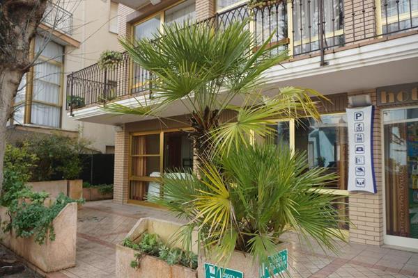 Hotel B&B Ardea Rimini Exterior foto